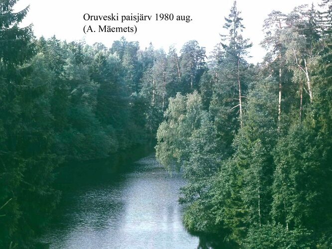 Maakond: Lääne-Virumaa Veekogu nimi: Oruveski paisjärv Pildistamise aeg: august 1980 Pildistaja: A. Mäemets Pildistamise koht: teadmata Asimuut: