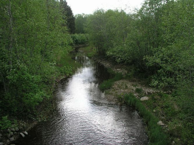 Maakond: Pärnumaa Veekogu nimi: Paadrema jõgi Pildistamise aeg: 13. mai 2008 Pildistaja: H. Timm Pildistamise koht: Tõusi Asimuut: