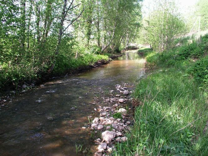 Maakond: Pärnumaa Veekogu nimi: Paadrema jõgi Pildistamise aeg: 13. mai 2008 Pildistaja: H. Timm Pildistamise koht: ülemjooks Asimuut: