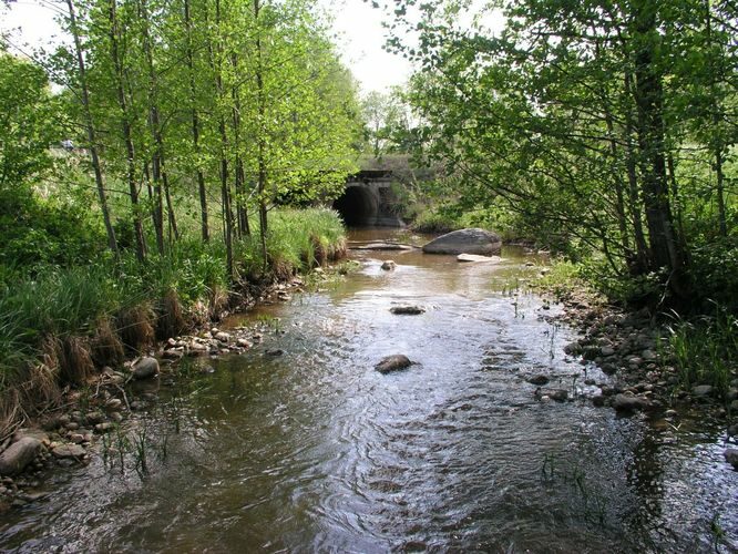 Maakond: Pärnumaa Veekogu nimi: Paadrema jõgi Pildistamise aeg: 13. mai 2008 Pildistaja: H. Timm Pildistamise koht: ülemjooks Asimuut: