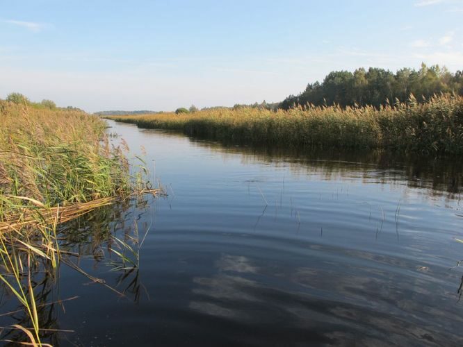 Maakond: Pärnumaa Veekogu nimi: Paadrema jõgi Pildistamise aeg: 25. september 2010 Pildistaja: H. Timm Pildistamise koht: õgvendatud osa Asimuut: