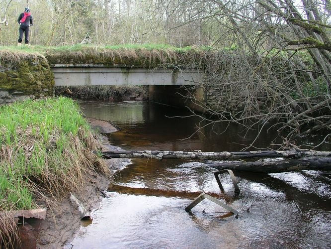 Maakond: Lääne-Virumaa Veekogu nimi: Pada jõgi Pildistamise aeg: 6. mai 2009 Pildistaja: H. Timm Pildistamise koht: Padaorg Asimuut: