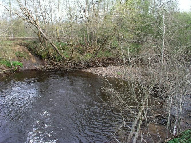 Maakond: Lääne-Virumaa Veekogu nimi: Pada jõgi Pildistamise aeg: 6. mai 2009 Pildistaja: H. Timm Pildistamise koht: Orgu Asimuut: