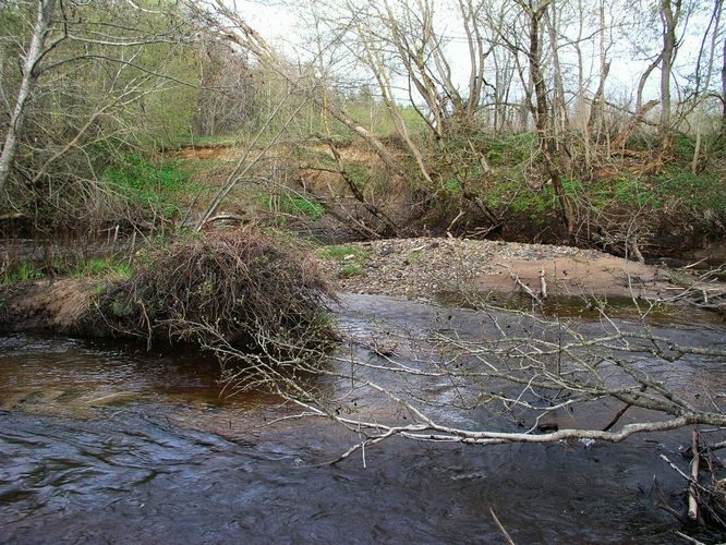 Maakond: Lääne-Virumaa Veekogu nimi: Pada jõgi Pildistamise aeg: 6. mai 2009 Pildistaja: H. Timm Pildistamise koht: Orgu Asimuut: