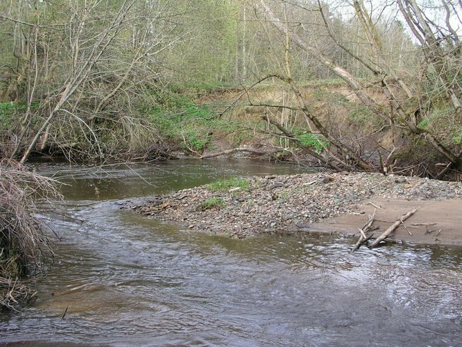 Maakond: Lääne-Virumaa Veekogu nimi: Pada jõgi Pildistamise aeg: 6. mai 2009 Pildistaja: H. Timm Pildistamise koht: Orgu Asimuut: