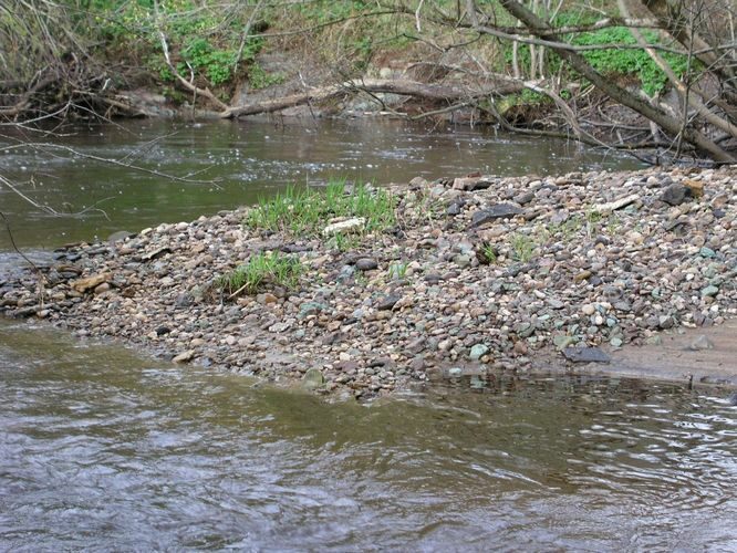 Maakond: Lääne-Virumaa Veekogu nimi: Pada jõgi Pildistamise aeg: 6. mai 2009 Pildistaja: H. Timm Pildistamise koht: Orgu Asimuut: