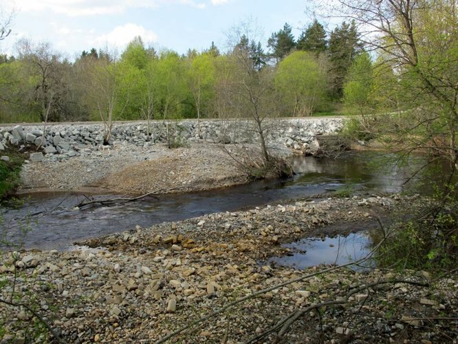 Maakond: Lääne-Virumaa Veekogu nimi: Pada jõgi Pildistamise aeg: 13. mai 2010 Pildistaja: H. Timm Pildistamise koht: Orgu Asimuut: