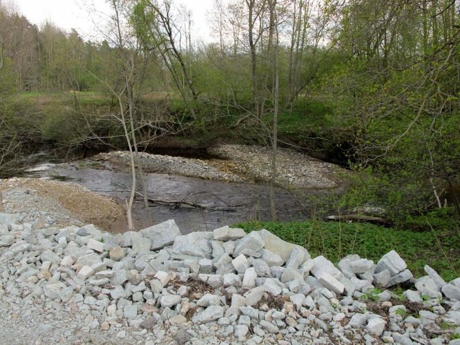 Maakond: Lääne-Virumaa Veekogu nimi: Pada jõgi Pildistamise aeg: 13. mai 2010 Pildistaja: H. Timm Pildistamise koht: Orgu Asimuut: