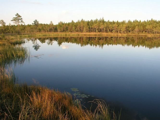 Maakond: Ida-Virumaa Veekogu nimi: Pahasenja järv Pildistamise aeg: 11. september 2007 Pildistaja: H. Timm Pildistamise koht: teadmata Asimuut: