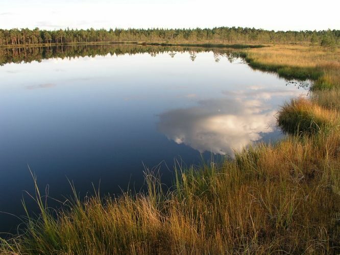 Maakond: Ida-Virumaa Veekogu nimi: Pahasenja järv Pildistamise aeg: 11. september 2007 Pildistaja: H. Timm Pildistamise koht: teadmata Asimuut: