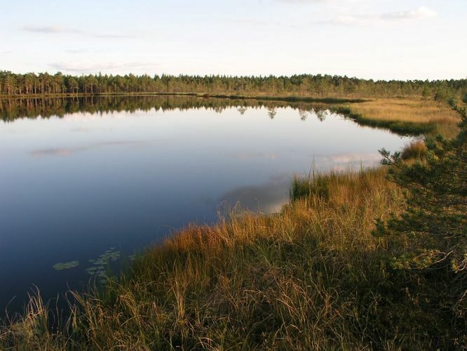 Maakond: Ida-Virumaa Veekogu nimi: Pahasenja järv Pildistamise aeg: 11. september 2007 Pildistaja: H. Timm Pildistamise koht: teadmata Asimuut: