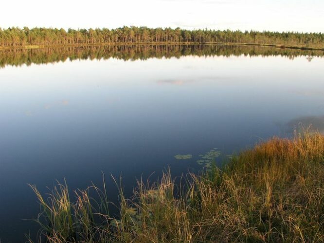 Maakond: Ida-Virumaa Veekogu nimi: Pahasenja järv Pildistamise aeg: 11. september 2007 Pildistaja: H. Timm Pildistamise koht: teadmata Asimuut: