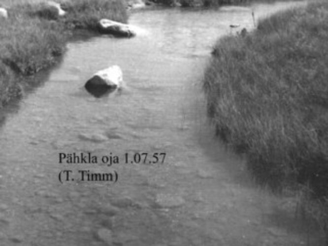 Maakond: Saaremaa Veekogu nimi: Pähkla oja Pildistamise aeg: 1. juuli 1957 Pildistaja: T. Timm Pildistamise koht: teadmata Asimuut: