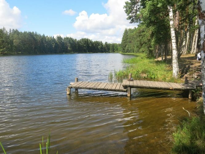 Maakond: Põlvamaa Veekogu nimi: Paidra järv Pildistamise aeg: 1. august 2013 Pildistaja: H. Timm Pildistamise koht: teadmata Asimuut: