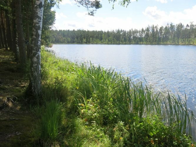 Maakond: Põlvamaa Veekogu nimi: Paidra järv Pildistamise aeg: 1. august 2013 Pildistaja: H. Timm Pildistamise koht: teadmata Asimuut: