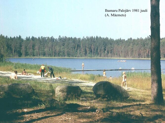 Maakond: Põlvamaa Veekogu nimi: Palojärv Pildistamise aeg: juuli 1981 Pildistaja: A. Mäemets Pildistamise koht: SE plaazilt Asimuut: NW