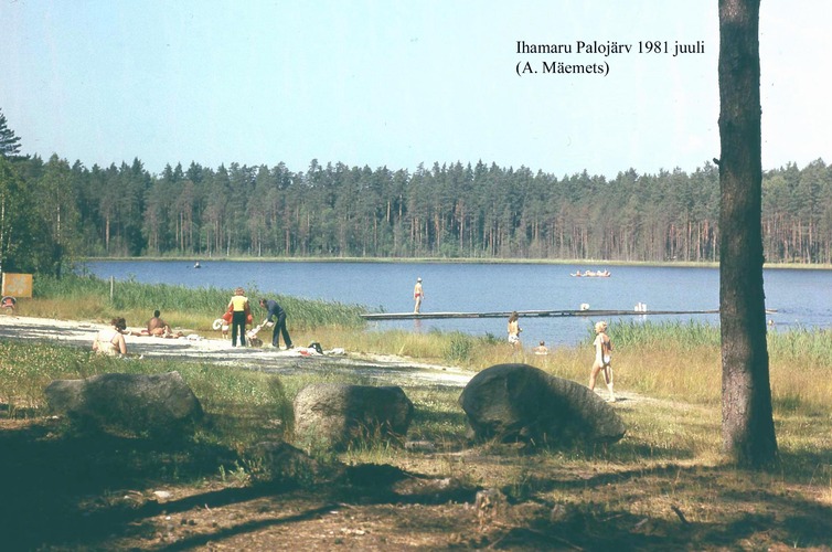 Maakond: Põlvamaa Veekogu nimi: Palojärv Pildistamise aeg: juuli 1981 Pildistaja: A. Mäemets Pildistamise koht: SE plaazilt Asimuut: NW