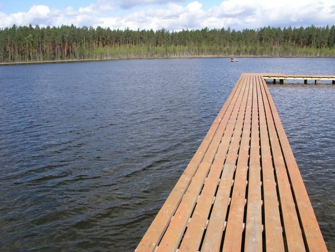 Maakond: Põlvamaa Veekogu nimi: Palojärv Pildistamise aeg: 15. mai 2006 Pildistaja: H. Timm Pildistamise koht: teadmata Asimuut: