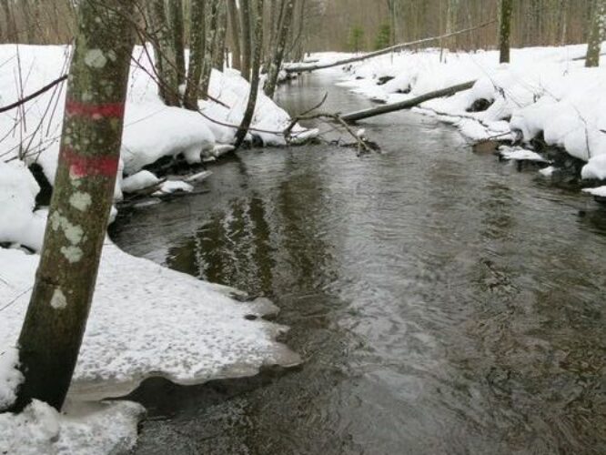 Maakond: Järvamaa Veekogu nimi: Palu pkr. Pildistamise aeg: 31. detsember 2012 Pildistaja: H. Timm Pildistamise koht: teadmata Asimuut: