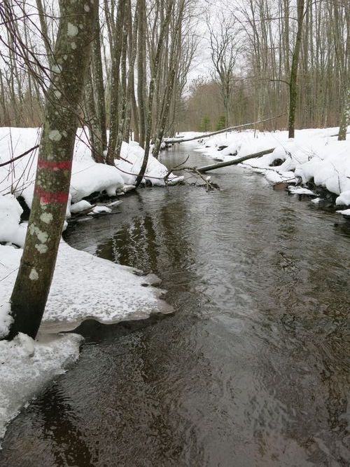 Maakond: Järvamaa Veekogu nimi: Palu pkr. Pildistamise aeg: 31. detsember 2012 Pildistaja: H. Timm Pildistamise koht: teadmata Asimuut: