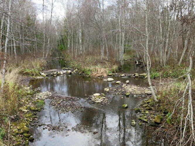 Maakond: Järvamaa Veekogu nimi: Palu pkr. Pildistamise aeg: 31. oktoober 2013 Pildistaja: H. Timm Pildistamise koht: suue Esna jõkke Asimuut: