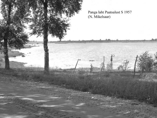 Maakond: Pärnumaa Veekogu nimi: Panga laht Pildistamise aeg: 1957 Pildistaja: N. Mikelsaar Pildistamise koht: Paatsalust S Asimuut: