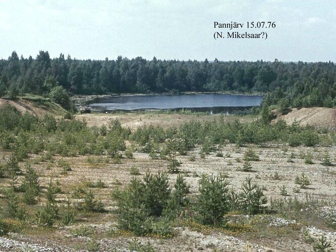 Maakond: Ida-Virumaa Veekogu nimi: Pannjärv Pildistamise aeg: 15. juuli 1976 Pildistaja: N. Mikelsaar? Pildistamise koht: teadmata Asimuut: