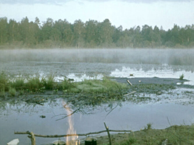 Maakond: Ida-Virumaa Veekogu nimi: Pannjärv Pildistamise aeg: teadmata Pildistaja: A. Maspuran Pildistamise koht: teadmata Asimuut: