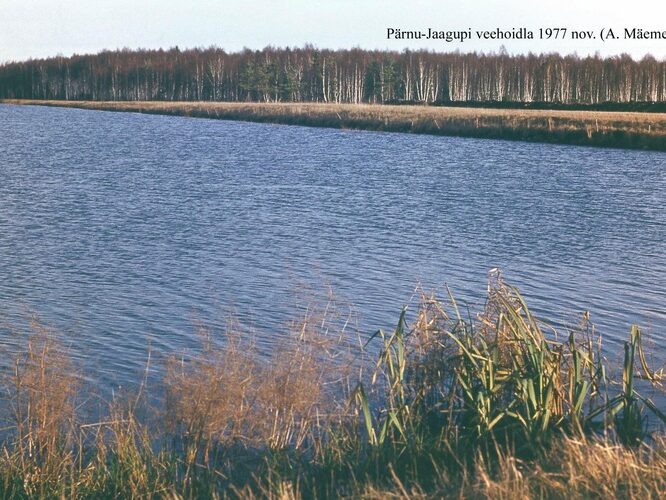 Maakond: Pärnumaa Veekogu nimi: Pärnu-Jaagupi veehoidla Pildistamise aeg: november 1977 Pildistaja: A. Mäemets Pildistamise koht: teadmata Asimuut: