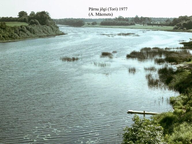 Maakond: Pärnumaa Veekogu nimi: Pärnu jõgi Pildistamise aeg: 1977 Pildistaja: A. Mäemets Pildistamise koht: Tori Asimuut: