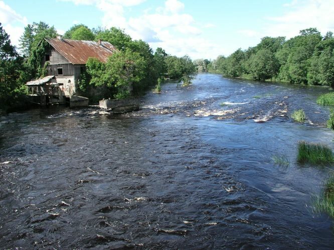 Maakond: Pärnumaa Veekogu nimi: Pärnu jõgi Pildistamise aeg: august 2005 Pildistaja: H. Timm Pildistamise koht: Suurejõe Asimuut: