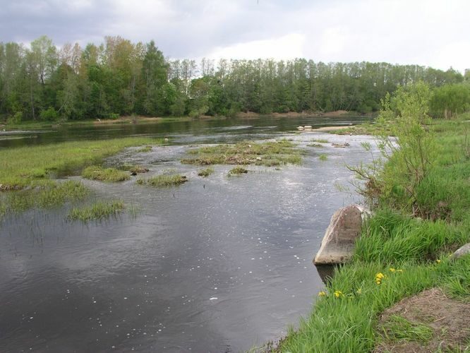 Maakond: Pärnumaa Veekogu nimi: Pärnu jõgi Pildistamise aeg: 16. mai 2006 Pildistaja: H. Timm Pildistamise koht: Sindi Asimuut: