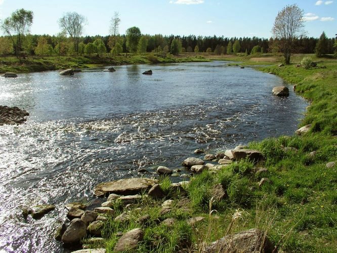 Maakond: Pärnumaa Veekogu nimi: Pärnu jõgi Pildistamise aeg: 16. mai 2006 Pildistaja: H. Timm Pildistamise koht: Kurgja Asimuut: