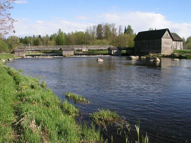 Maakond: Pärnumaa Veekogu nimi: Pärnu jõgi Pildistamise aeg: 16. mai 2006 Pildistaja: H. Timm Pildistamise koht: Kurgja Asimuut: