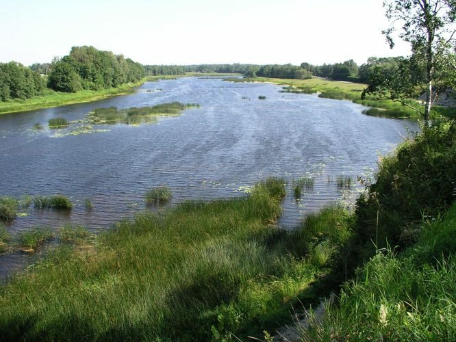 Maakond: Pärnumaa Veekogu nimi: Pärnu jõgi Pildistamise aeg: 16. mai 2006 Pildistaja: H. Timm Pildistamise koht: Tori Asimuut: