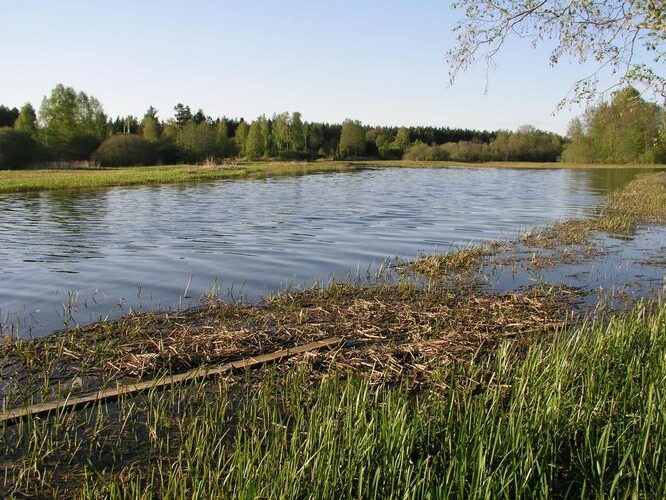 Maakond: Pärnumaa Veekogu nimi: Pärnu jõgi Pildistamise aeg: 16. mai 2006 Pildistaja: H. Timm Pildistamise koht: Jändja Asimuut: