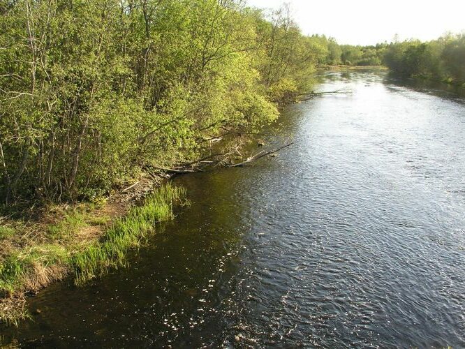 Maakond: Pärnumaa Veekogu nimi: Pärnu jõgi Pildistamise aeg: 16. mai 2006 Pildistaja: H. Timm Pildistamise koht: Jändja Asimuut: