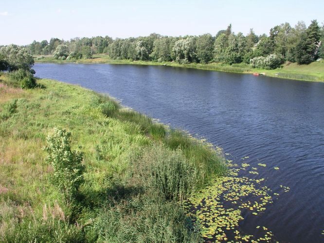 Maakond: Pärnumaa Veekogu nimi: Pärnu jõgi Pildistamise aeg: 16. mai 2006 Pildistaja: H. Timm Pildistamise koht: Tori Asimuut: