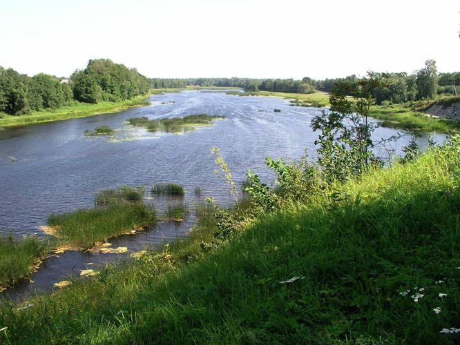 Maakond: Pärnumaa Veekogu nimi: Pärnu jõgi Pildistamise aeg: 16. mai 2006 Pildistaja: H. Timm Pildistamise koht: Tori Asimuut: