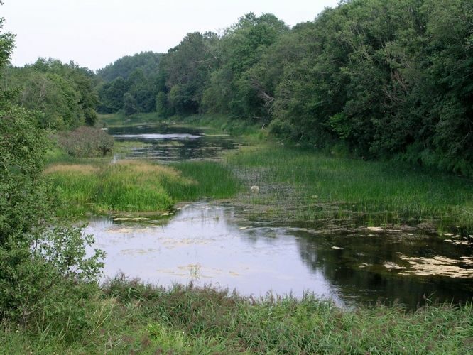 Maakond: Pärnumaa Veekogu nimi: Pärnu jõgi Pildistamise aeg: 5. august 2006 Pildistaja: H. Timm Pildistamise koht: Piista Asimuut: