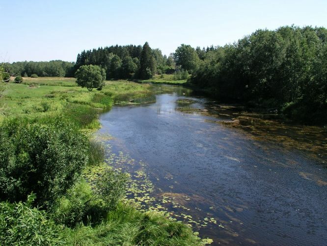 Maakond: Pärnumaa Veekogu nimi: Pärnu jõgi Pildistamise aeg: 6. august 2006 Pildistaja: H. Timm Pildistamise koht: Vihtra sillalt Asimuut: