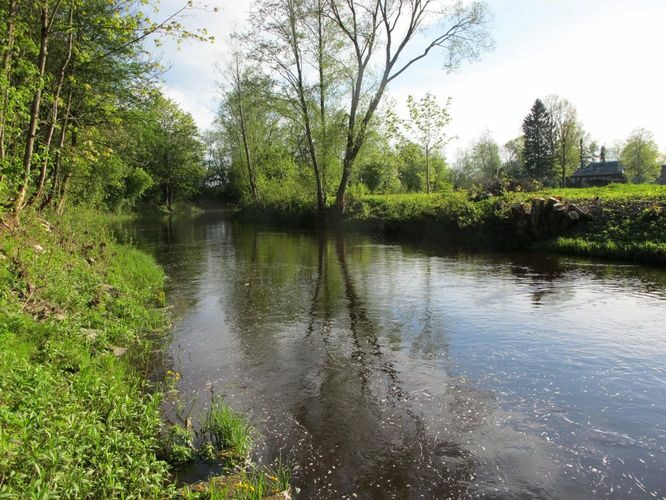 Maakond: Pärnumaa Veekogu nimi: Pärnu jõgi Pildistamise aeg: 19. mai 2012 Pildistaja: H. Timm Pildistamise koht: Suurejõe Asimuut: