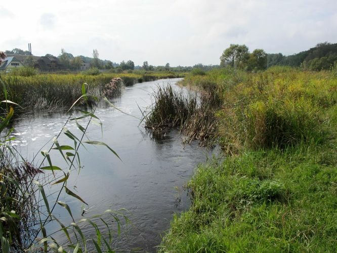 Maakond: Pärnumaa Veekogu nimi: Pärnu jõgi Pildistamise aeg: 12. september 2012 Pildistaja: H. Timm Pildistamise koht: Sindi Asimuut: