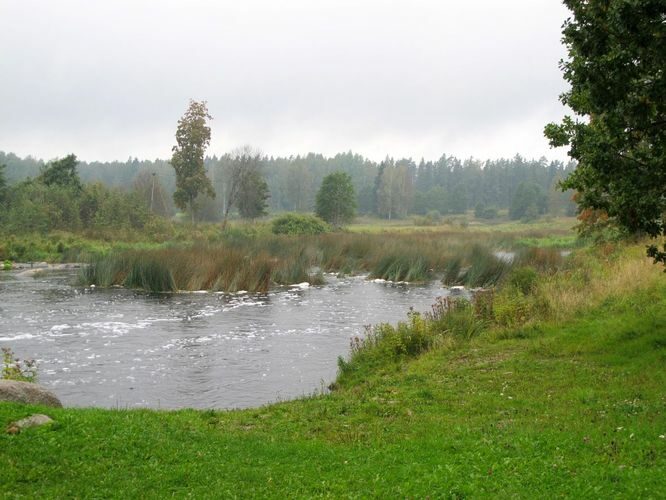 Maakond: Pärnumaa Veekogu nimi: Pärnu jõgi Pildistamise aeg: 12. september 2012 Pildistaja: H. Timm Pildistamise koht: Kurgja Asimuut: