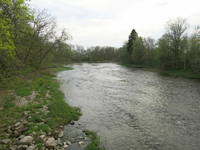 Maakond: Pärnumaa Veekogu nimi: Pärnu jõgi Pildistamise aeg: 13. mai 2013 Pildistaja: H. Timm Pildistamise koht: Tori-Jõesuu Asimuut: