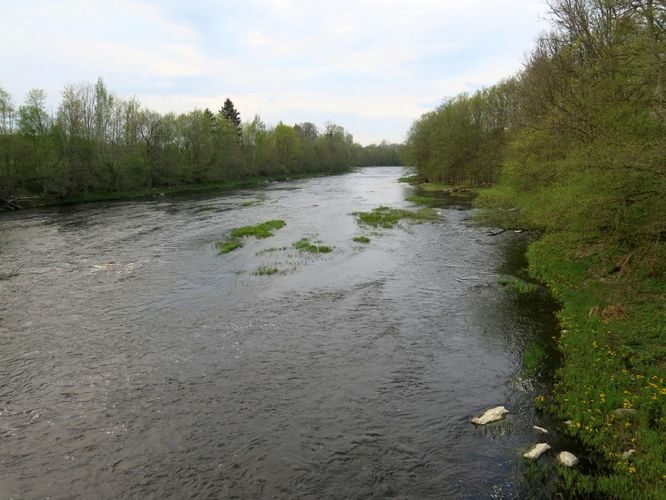 Maakond: Pärnumaa Veekogu nimi: Pärnu jõgi Pildistamise aeg: 13. mai 2013 Pildistaja: H. Timm Pildistamise koht: Tori-Jõesuu Asimuut: