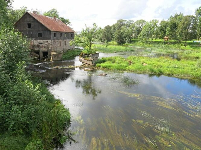 Maakond: Pärnumaa Veekogu nimi: Pärnu jõgi Pildistamise aeg: 13. august 2014 Pildistaja: H. Timm Pildistamise koht: Suurejõe Asimuut: