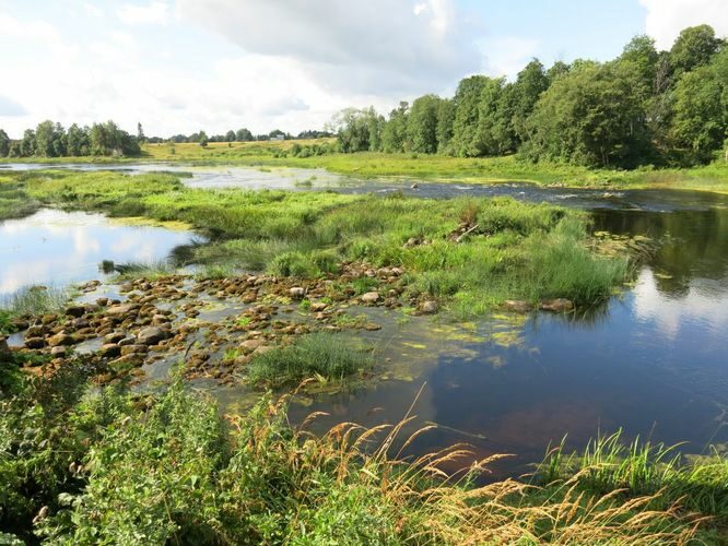 Maakond: Pärnumaa Veekogu nimi: Pärnu jõgi Pildistamise aeg: 13. august 2014 Pildistaja: H. Timm Pildistamise koht: Oore veski Asimuut: