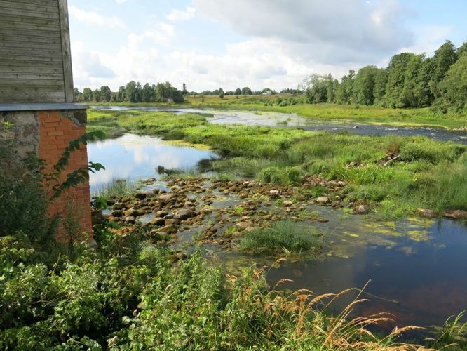 Maakond: Pärnumaa Veekogu nimi: Pärnu jõgi Pildistamise aeg: 13. august 2014 Pildistaja: H. Timm Pildistamise koht: Oore veski Asimuut: