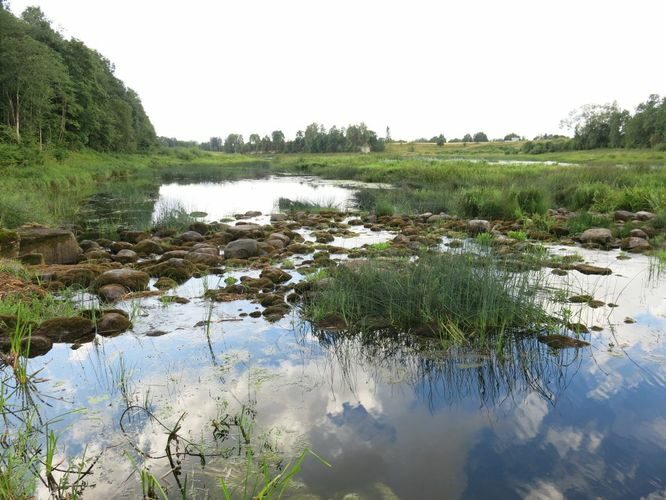 Maakond: Pärnumaa Veekogu nimi: Pärnu jõgi Pildistamise aeg: 13. august 2014 Pildistaja: H. Timm Pildistamise koht: Oore veski Asimuut: